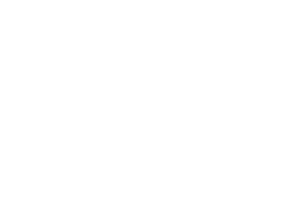 DIGITAL-POL